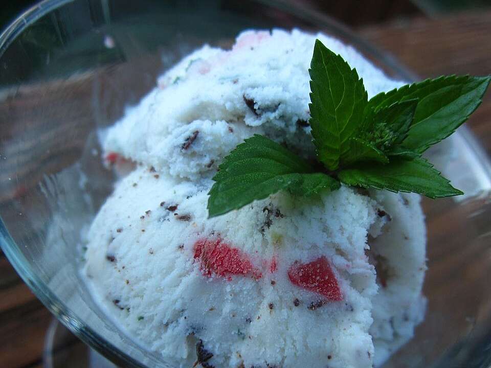 Simple Mint Chocolate Chip Strawberry Ice Cream