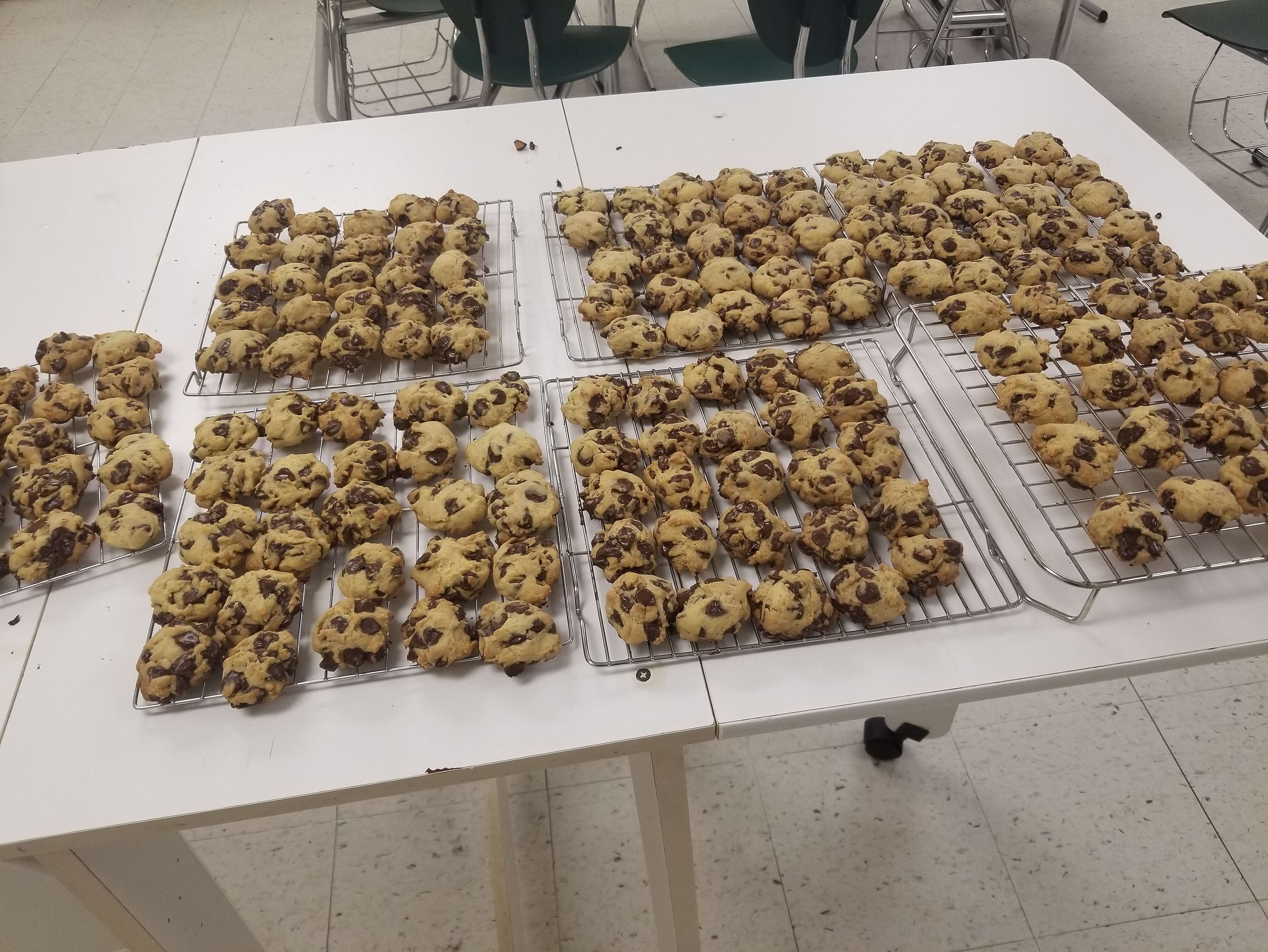 Best Ever Chocolate Chip Cookies