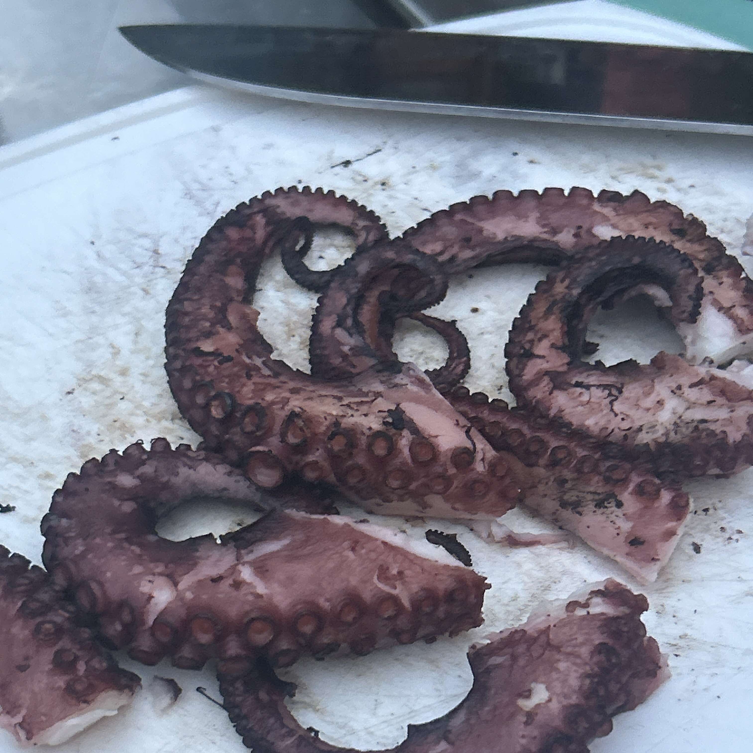 Grilled Octopus