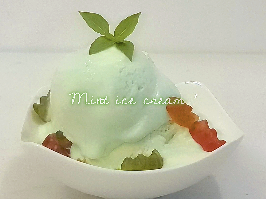 Easy Mint Chocolate Chip Ice Cream