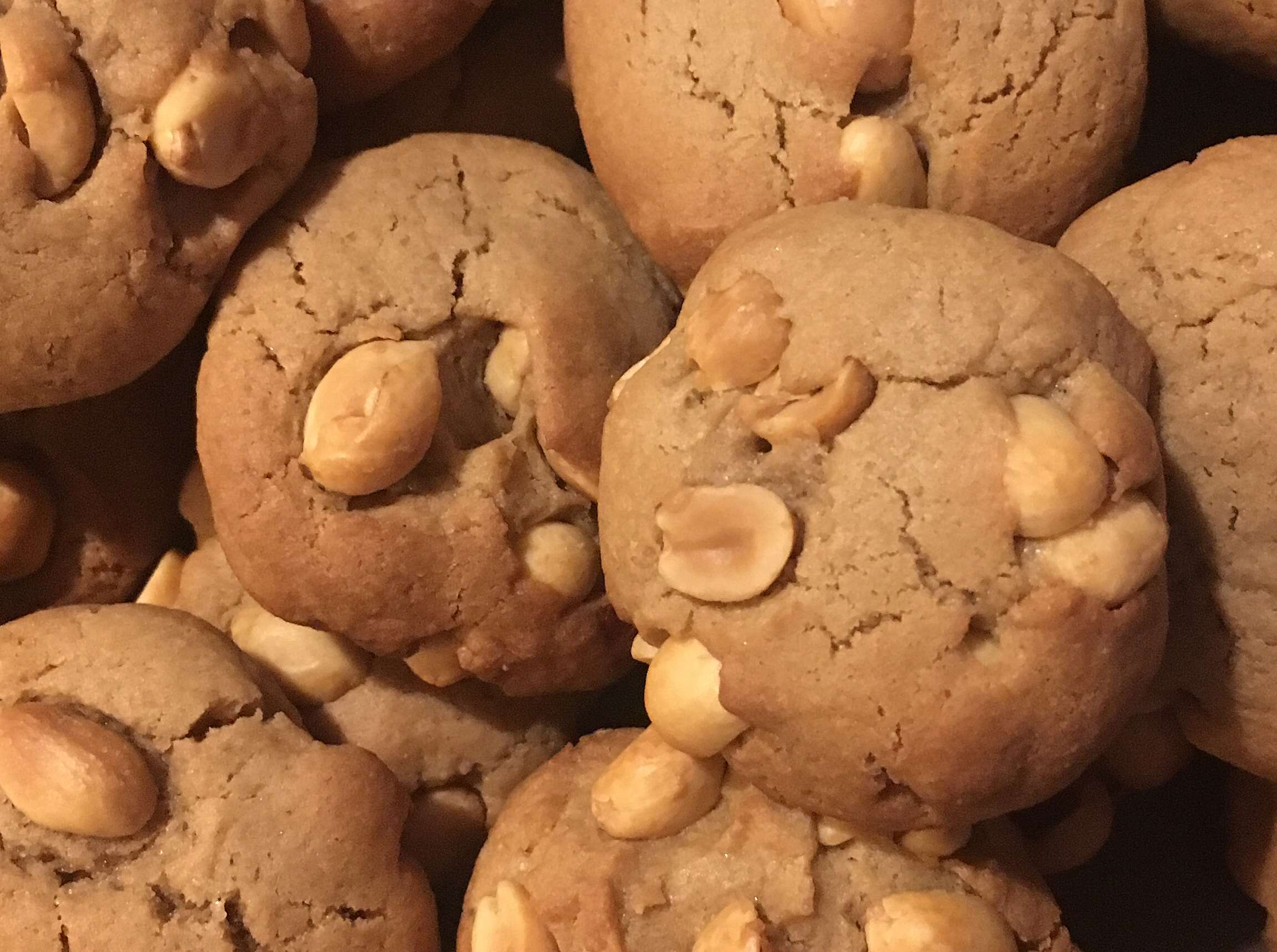 Salted Peanut Cookies