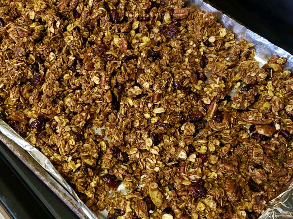 Light Fruit and Nut Granola