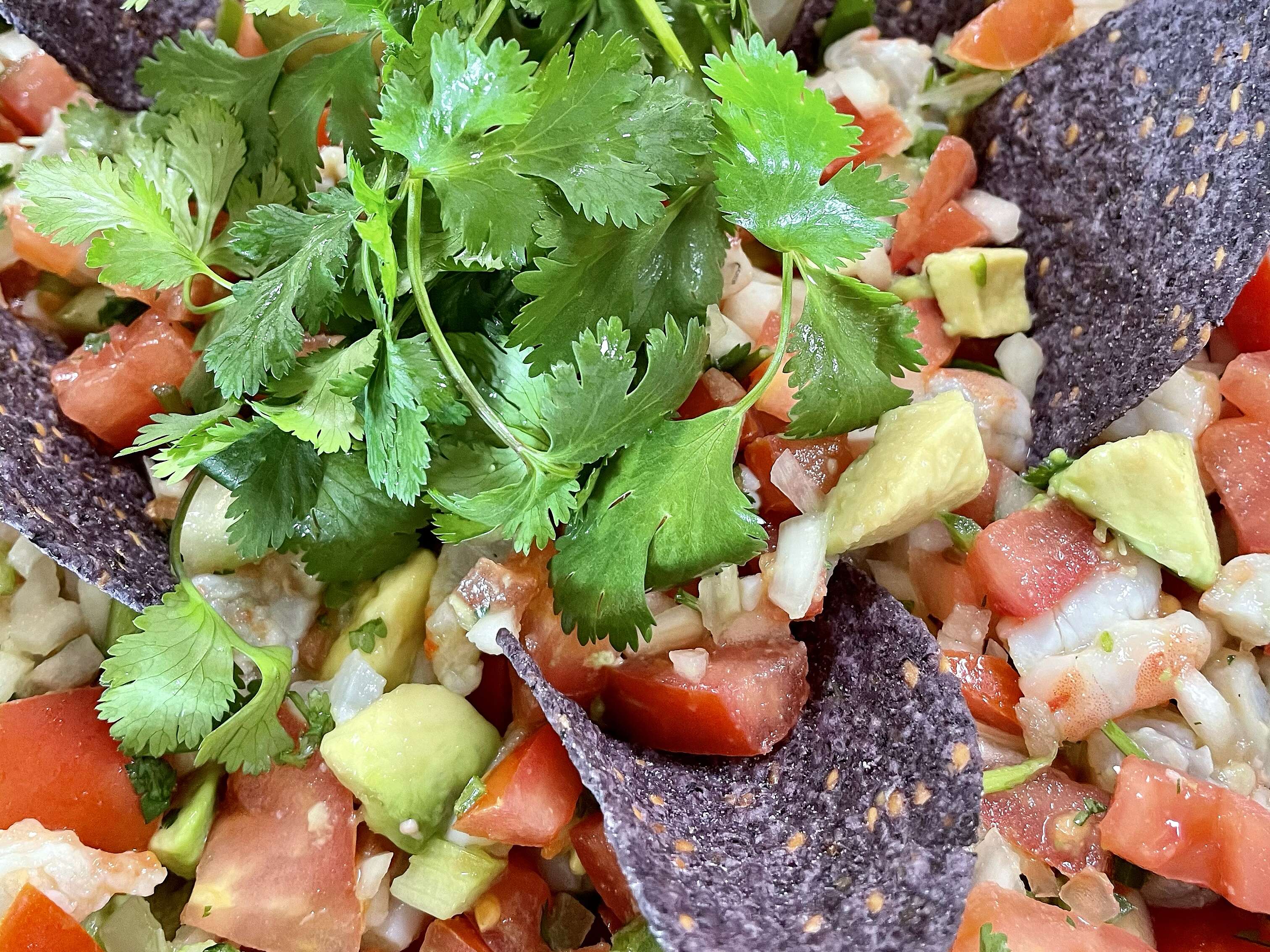Jose39s Shrimp Ceviche