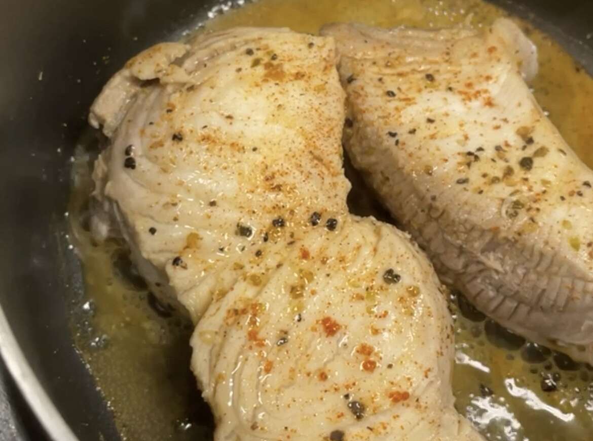 Grilled Gulf Shark