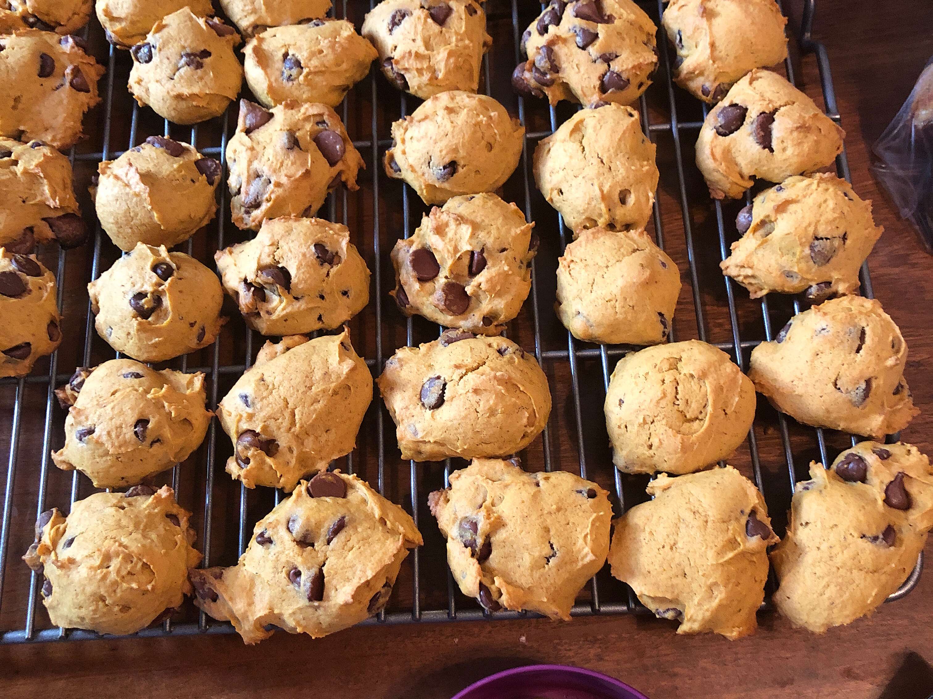 Easy Pumpkin Chocolate Chip Cookies