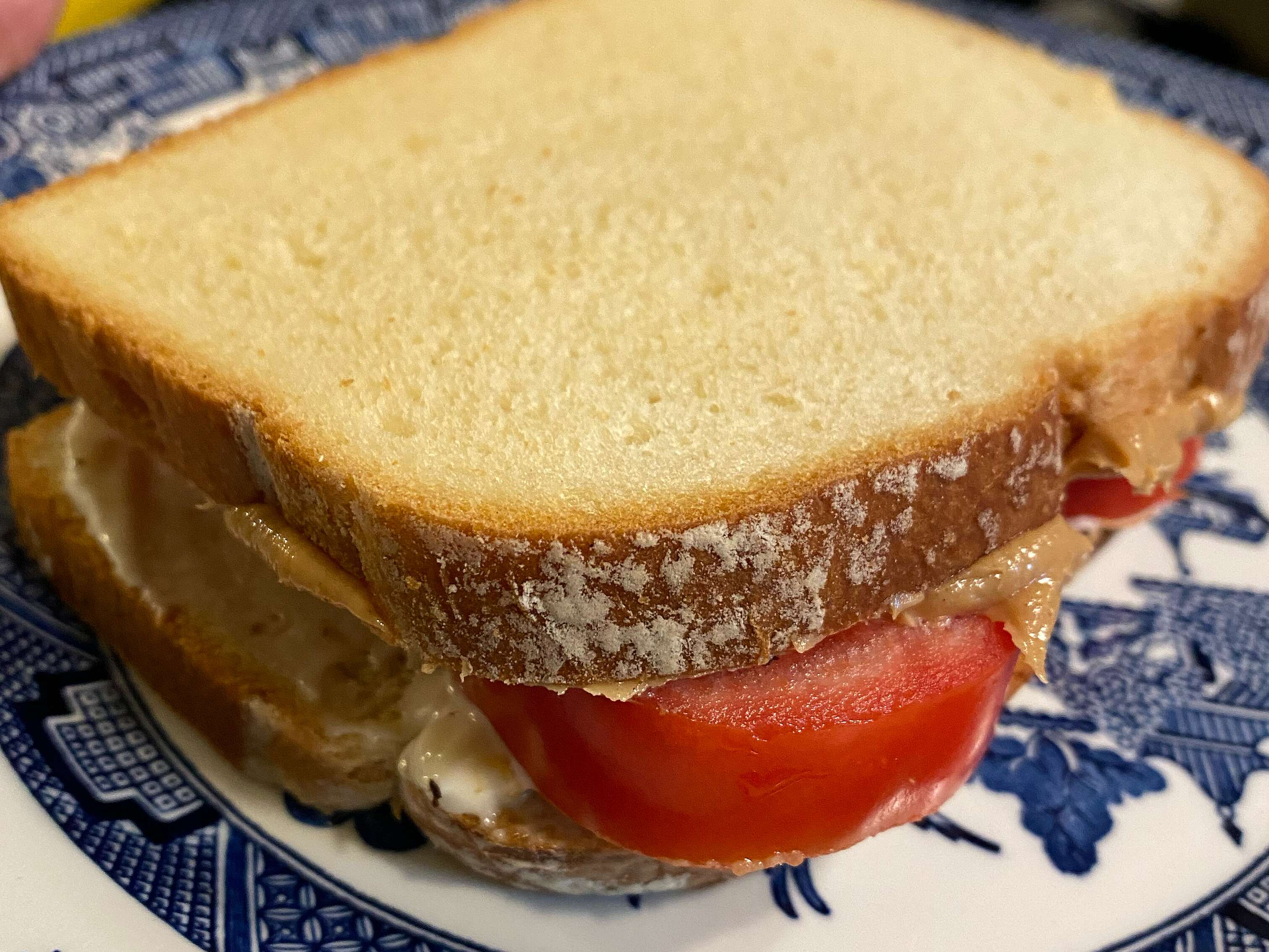 Simple Peanut Butter and Tomato Sandwich